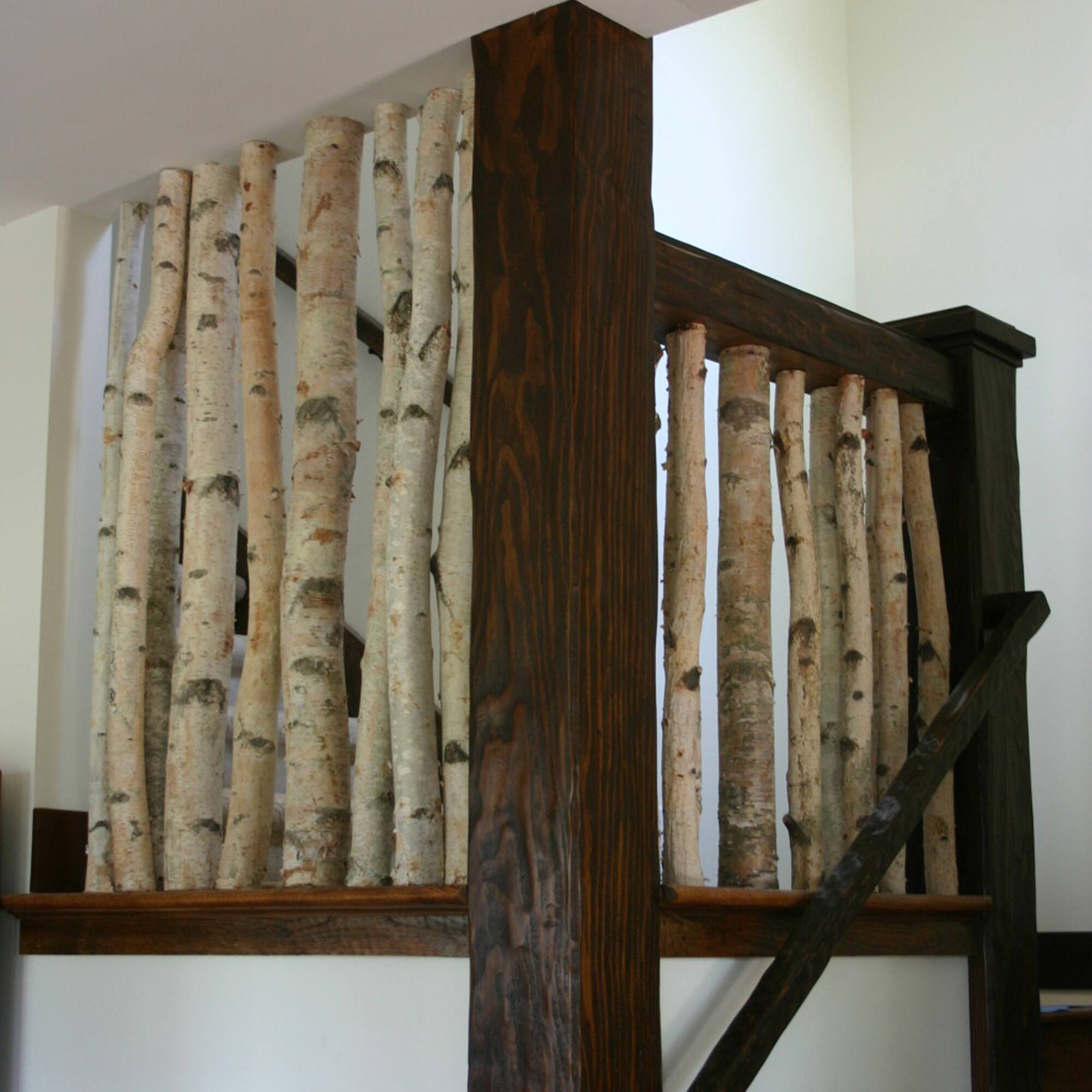 Wilson® Enterprises White Birch Poles